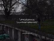 ................................