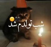 ساده و سر راست بگم و دردسرتون ندم تولدمـ مبارکـ!