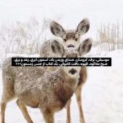 کتابی از جنس زمستون>>> ✨❄‌‌‌‌‌‌