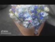 دست گل 💐🌺‌‌‌‌‌‌‌‌‌‌‌‌‌‌........