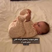 چطور میتونید از این جوجو ها متنفر باشید 🥺🐥💛