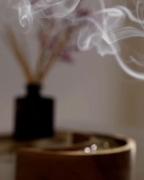 حواسم نبود.......................🦋❤️