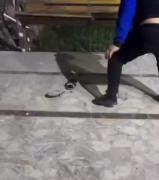 فک کنم حمید آقا مردد😂 فالو = فالو