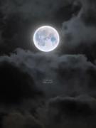 شدی ماه تو شب ‌‌من‌‌:)🌜💞🥹‌‌