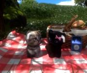 پیشیارووووووووواخییییییییی😭😭