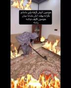 ...............................