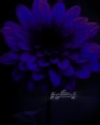 این کلیپ عاشقانه رو تقدیم‌میکنم ب عشقم