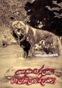 زمین گرده......منم کینه ای.....