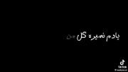 #یادم‌نمیره گل من بودی یه دفه چیدنت؛
