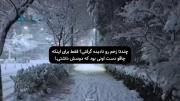 چند تا زخم رو نادیده گرفتی ؟!🙂