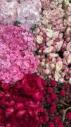 Flowers ‌‌‌‌‌‌‌‌‌‌‌‌‌‌‌‌‌‌
