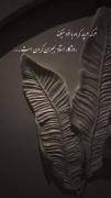 ذات خوب.......................
