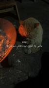 از دست دادن آدما یه حرف دیگه ست.....