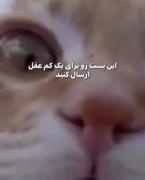 منم میفرستم برای تو ( h.d.f ) :))