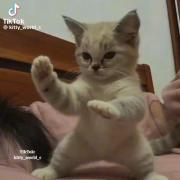 ویژگی های من به روایت تصویر 🤣