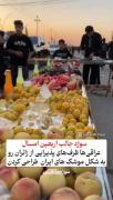 *پذیرایی‌های موشکی در اربعین😂