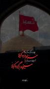 آدم ‌بهشت بره بازم ، میخواد برگرده کربلا❤️‍🩹