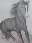 .......طراحی اسب♥️⚘🐎...........