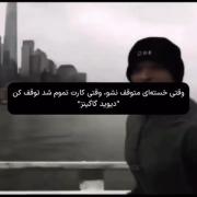 ..............................