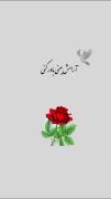 یادت باشه خدا حواسش بهت هست ♥️🌸