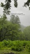 آرامش..🤌🏻🌲🌴💚‌‌‌‌‌‌‌‌‌‌‌‌‌‌‌‌‌‌
