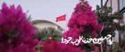 یا‌حسین..؛🤍🌷‌‌‌‌‌‌‌‌‌‌‌‌‌‌‌‌‌‌