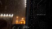 غیر از تو یاری ندارم ..؛ #شهادت_امام_رضا(ع)
