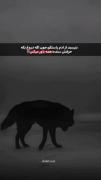 بترسید از آدم راستگو ⚜️‌‌‌‌‌‌‌‌‌