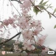 ࿙‌࿚࿙ 𓈒 ꣑୧ 𓈒 ࿚࿙‌࿚⠀‌ ‌ ‌ ‌ ‌ ‌ ‌ ‌ ‌ ‌ ‌ ‌ ‌ ‌ ‌‌ ‌ ‌ ‌ ‌ 