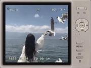 ࿙‌࿚࿙ 𓈒 ꣑୧ 𓈒 ࿚࿙‌࿚⠀‌ ‌ ‌ ‌ ‌ ‌ ‌ ‌ ‌ ‌ ‌ ‌ ‌ ‌ ‌‌ ‌ 