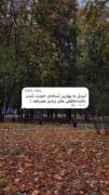 ــــــــــــــــــــــــــــ🍁