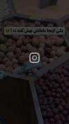 یکی اینجا مامانش بهش نه گفته!😂👀
