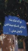 خوشم به گوشه نشینی و جهان به هیچم نیست...! 