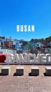 🌊Busan🌊‌‌‌‌‌‌‌‌‌‌‌‌‌‌‌‌‌‌‌‌‌‌‌