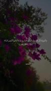 صوت القرآن💞‍‍‍‍‍‍‍‍‍‍‍‍‍‍‍‍‍‍