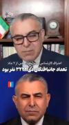 اعتراف کارشناس اینترنشنال به تعداد کشته شدگان دی ماه