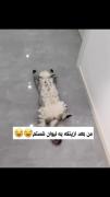 شما هم اینطورین؟😂😭 ‌