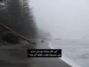 7دقیقه اخرمی((: .
