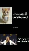 من وقتی میخوام از خودم دفاع کنم...... وقتی از آیدلم🔪