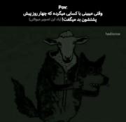 اخه واقعا چرا اونا رو به من ترجیح دادی