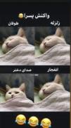 حق تر از اینم مگه داریم🤣🤣...