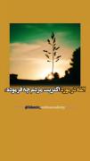 الله متعال در مـورد اکثـریت مردم چـه فرموده :