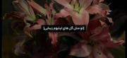 دخترای پیجم>>>‌‌‌‌‌‌‌‌‌‌‌‌‌‌‌‌‌‌