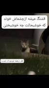 ای درد چرا تمام نمیشود .......