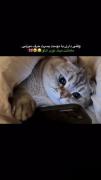 آخوداااا🥹🤛🏻🤜🏻🩷 ‌ ‌ ‌