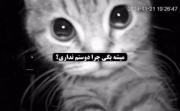 چرا؟‌‌‌‌‌‌‌‌‌‌‌‌‌‌‌‌‌‌‌‌‌‌‌‌‌‌‌‌