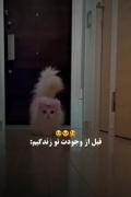 /.././/./../.././../../../../..