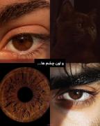 °°°°°°°°وایب قهوه‌ای °°°°°°°°°