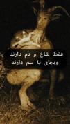 جن ها به سه تا دسته کلی تقسیم میشن👽