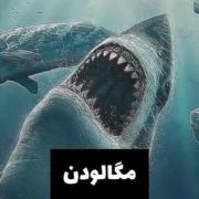 حیواناتی که نوب شد منقرض شدن... 